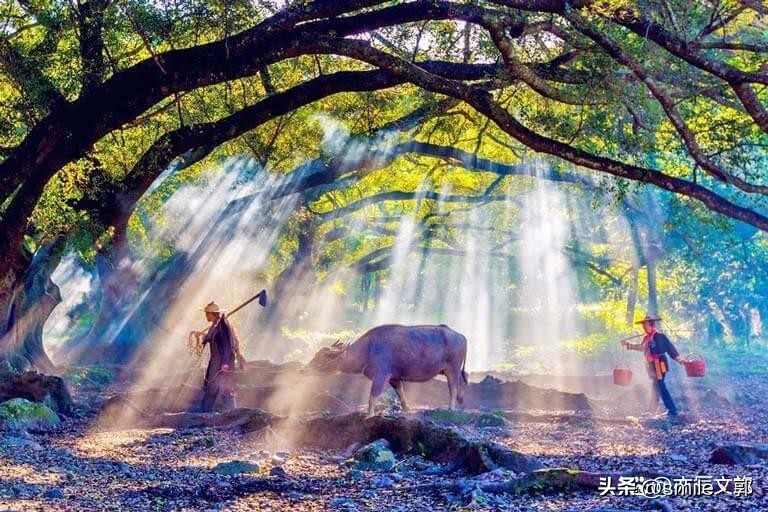 旅游景点福建最值得去的地方,福建旅游必去景点有哪些