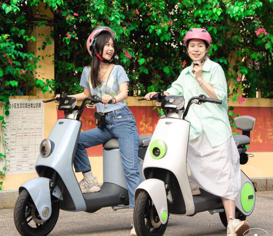 网购电动车电池还是实体店买,网购电动车和实体店购买的区别