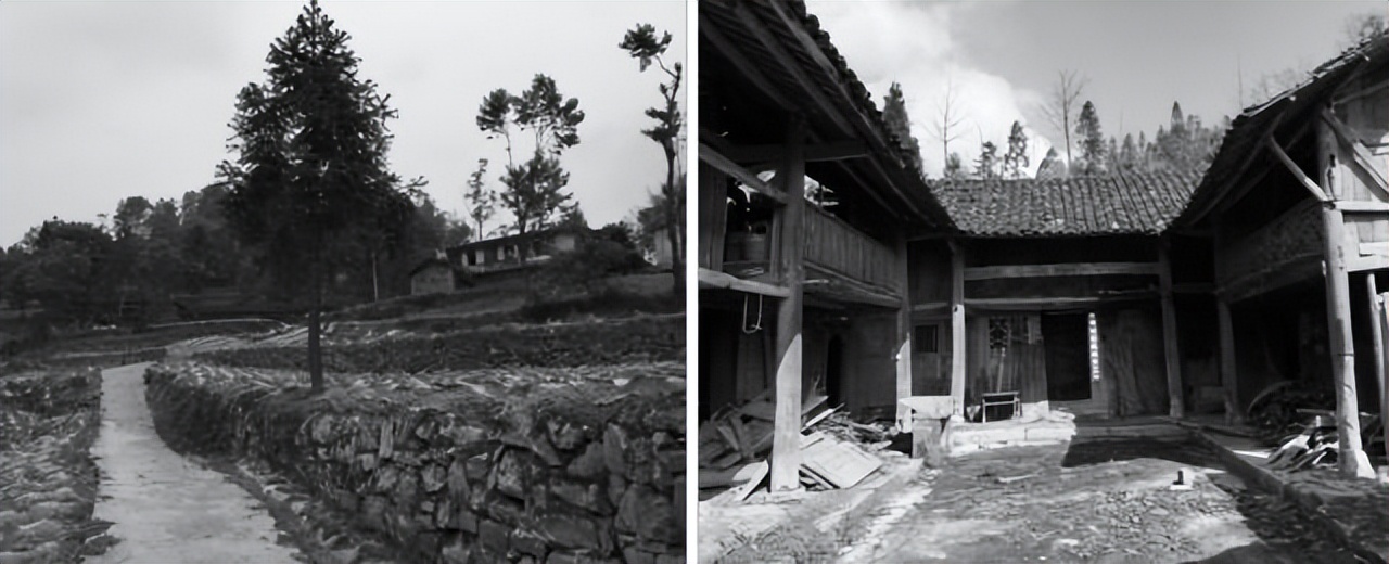 乡村改造创意工坊设计概念,极简乡村改造设计