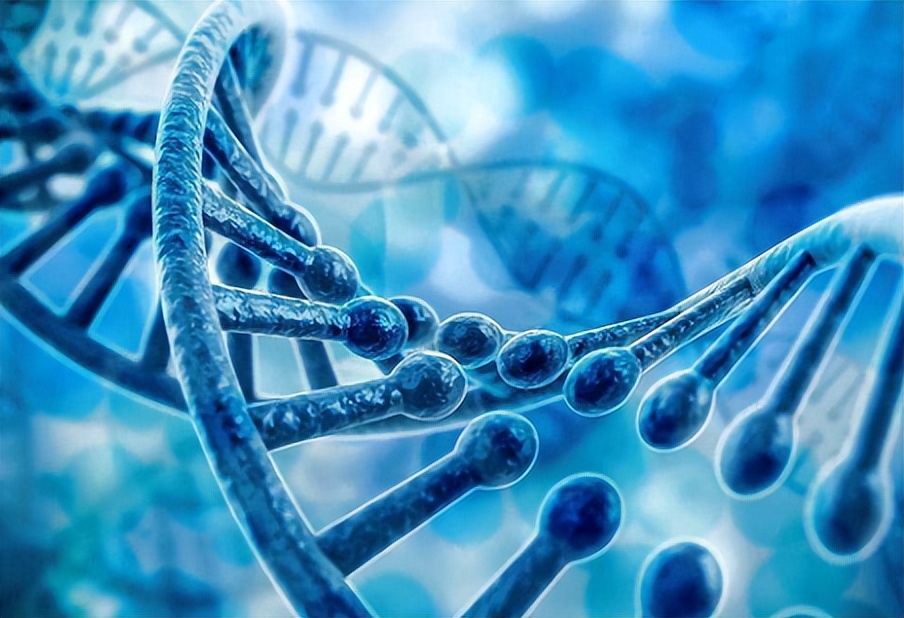 为什么外阴有一根白毛,女的外阴有好多白毛怎么治疗