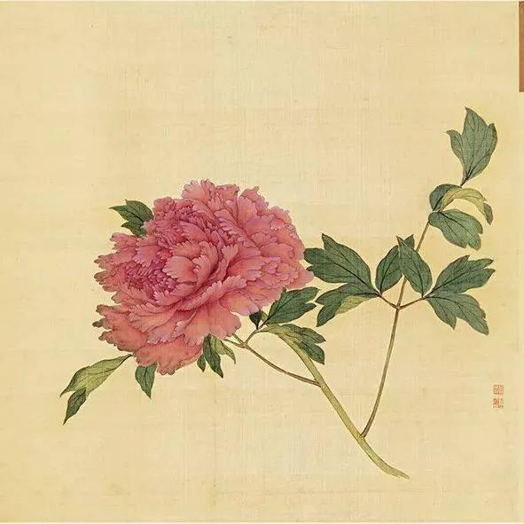 蒋廷锡牡丹画法,蒋廷锡百种牡丹画法