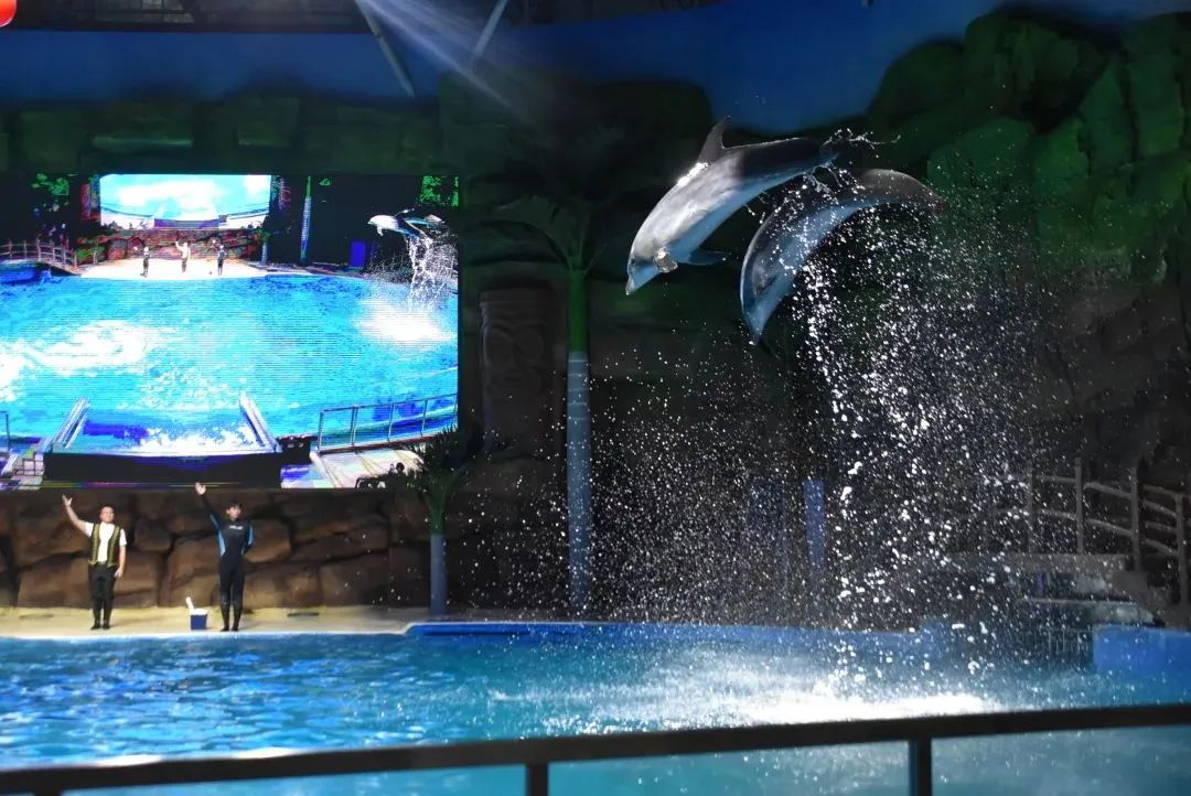 我们的妈妈小时候都是玩什么,妈妈也是个爱玩的孩子