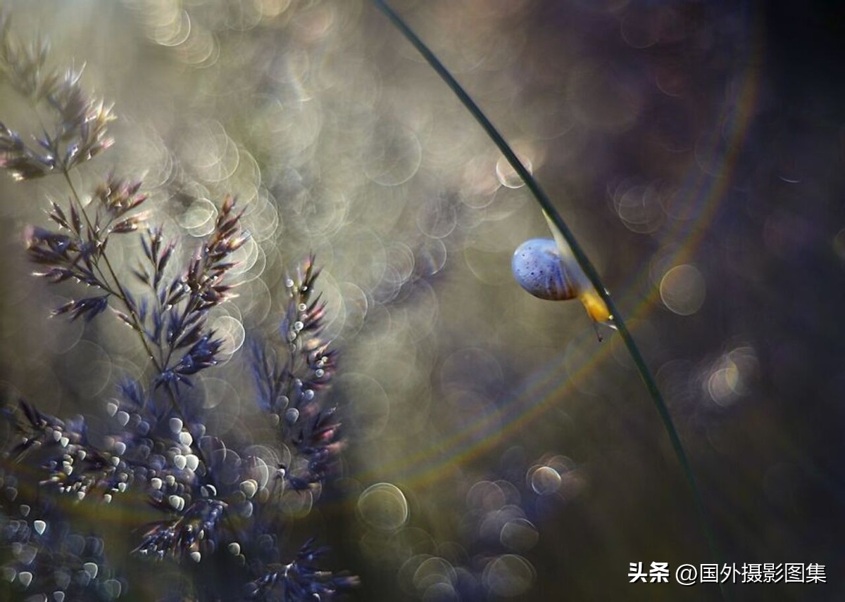 秋天最美大自然图片,春天最美的三十六张照片