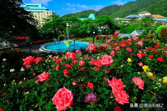 1条视频，3个月，收益这么多！您觉得怎么样？