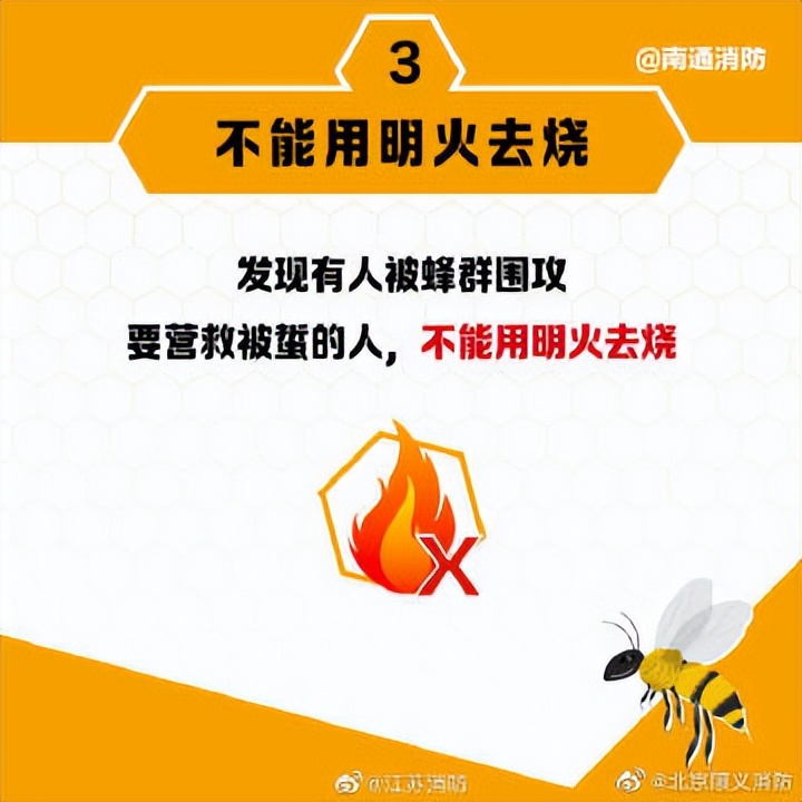 遇到马蜂袭击的视频,被马蜂袭击最快的时间