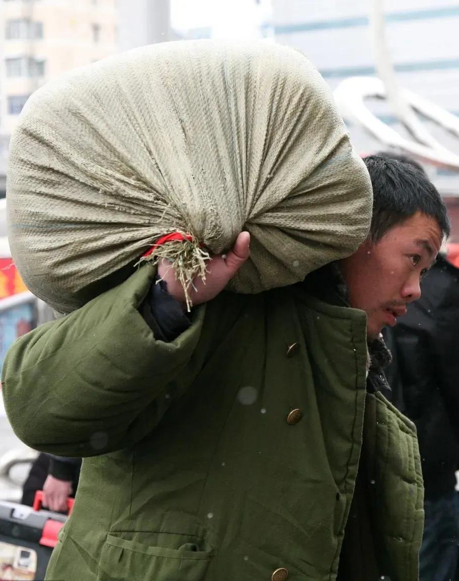 廉价大学生高薪农民工,招不到农民工却能招廉价的大学生