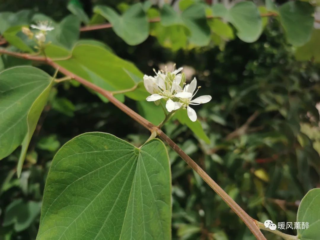 不同人生不同抉择,不同的阶段不同的取舍