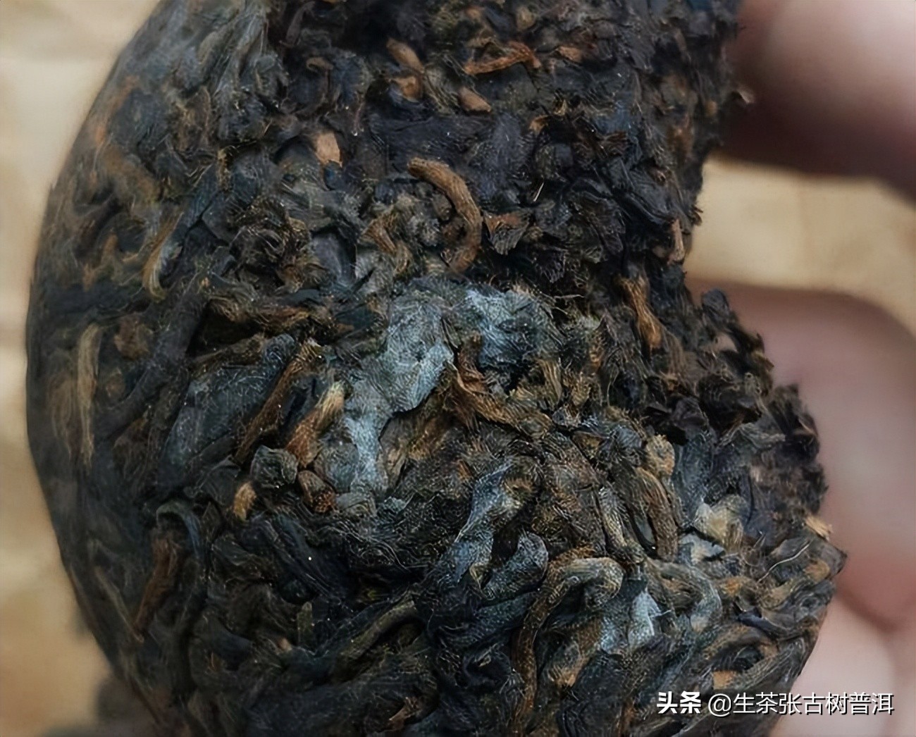 普洱茶怎么放不会有霉味,普洱茶要怎么保存才不会发霉