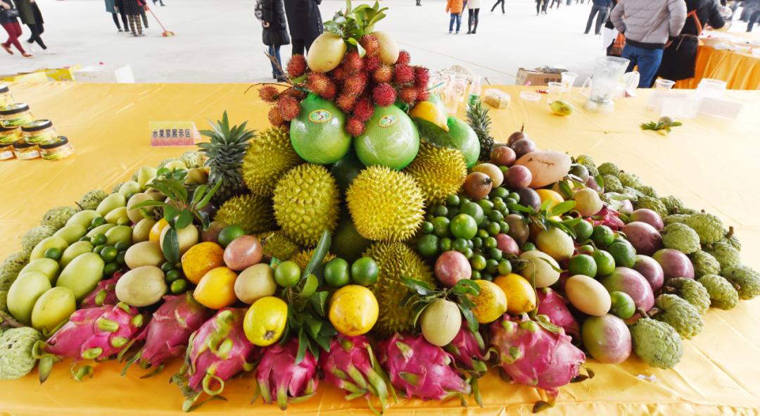 榴莲爱好者去果园,榴莲爱好者来打卡