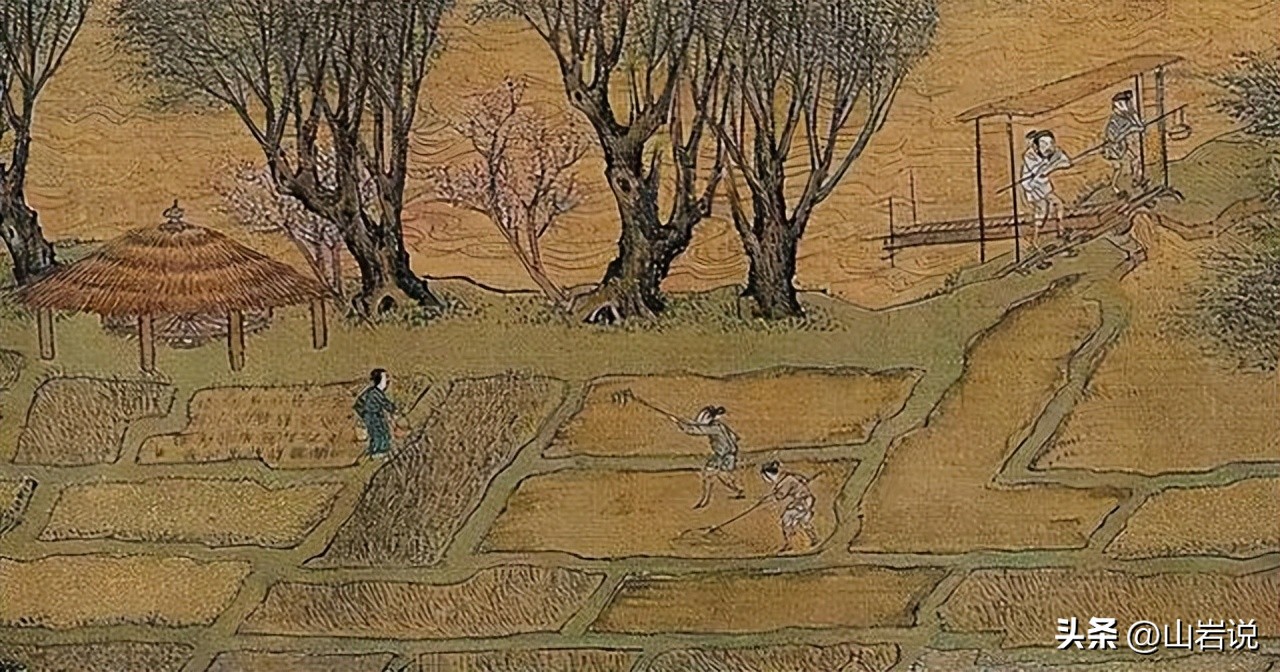 中国茶史,中国茶史书