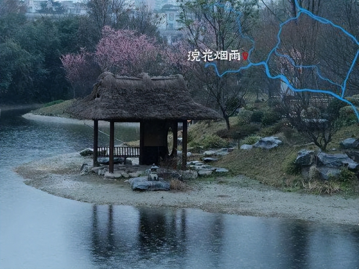 水井坊1号菌群,水井坊一号