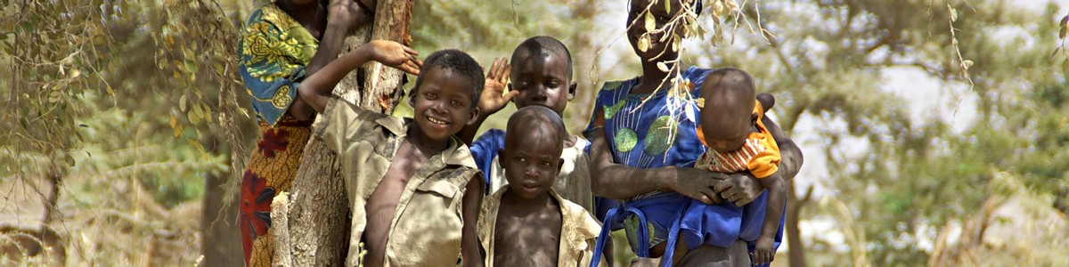 “藤黄果”、“猴果”…近20种你不知道的非洲雄鹰喀麦隆水果