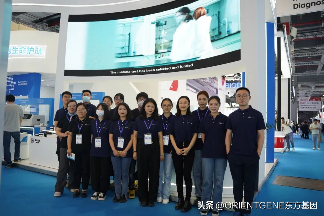 直击上海交易会展厅,直击上海车展