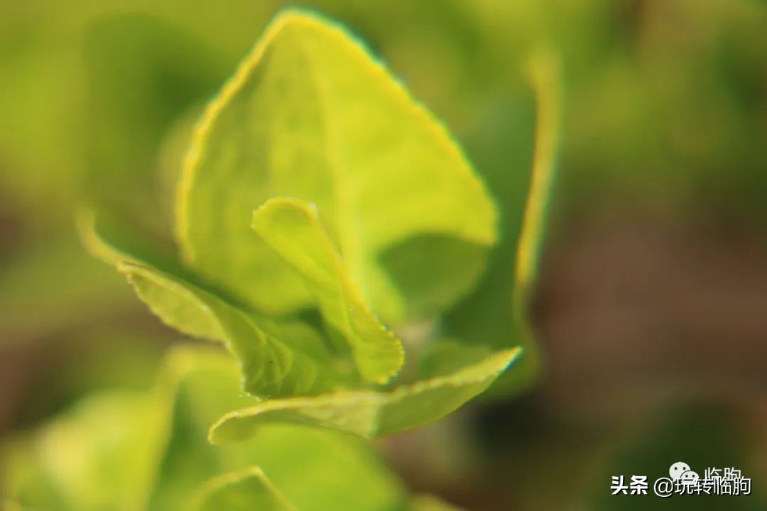 给孩子的一封信成人礼,给孩子的一封信