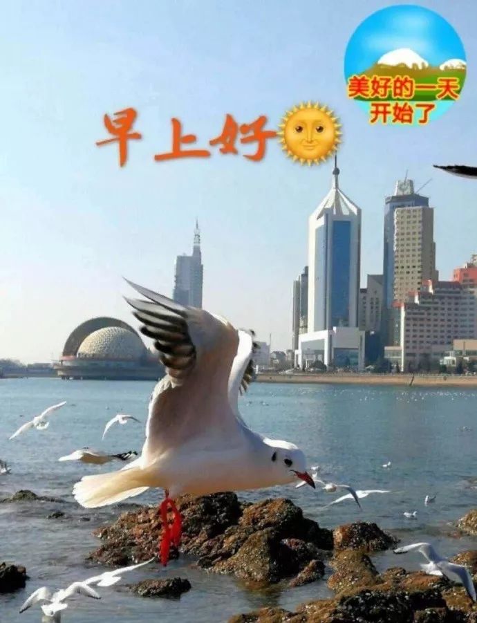 精致优美早上好的微信问候图片,微信祝福语早上好动态图片