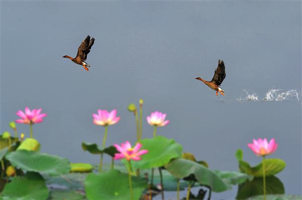 江苏的冷门景点排名,江苏比较冷门但是好玩的地方