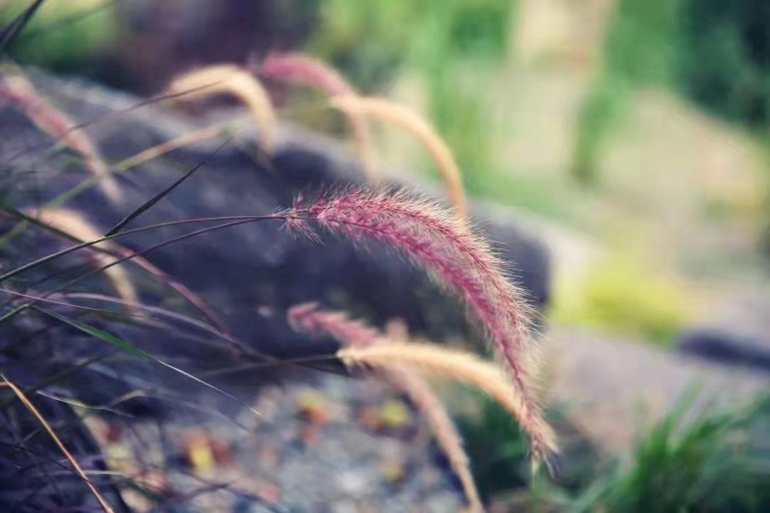 倒霉之前都有一种表现,倒霉的三个表现