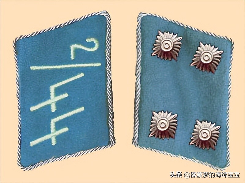 纳粹冲锋队用的什么枪,纳粹德军军衔图解