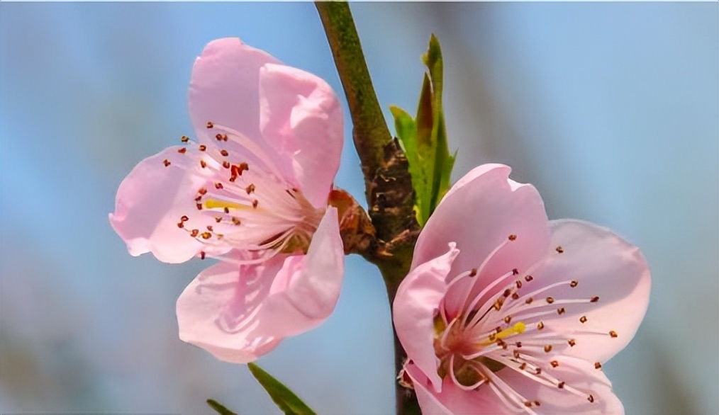 独具性格魅力让人久处不厌的星座,能力很强但是人缘很差的星座