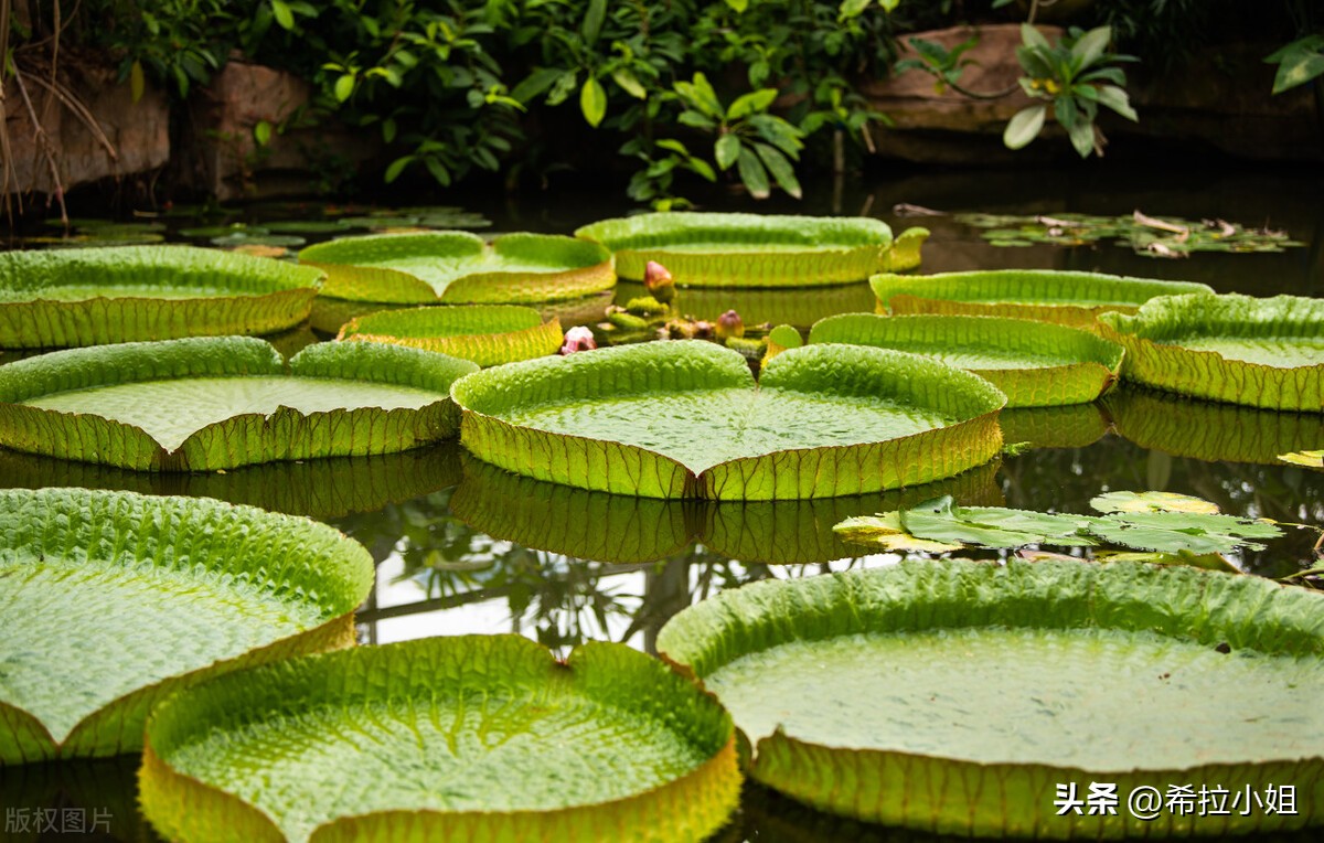 广州旅游：来广州一定要去的14个景点，你都打卡了吗？（上篇）
