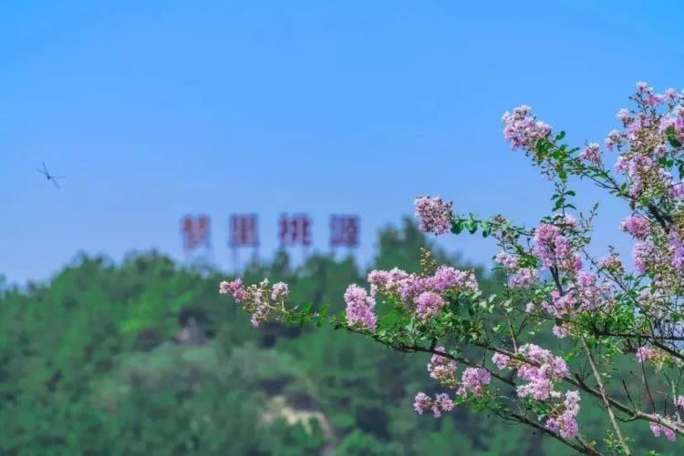 聚龙小镇：离城不离尘的心灵