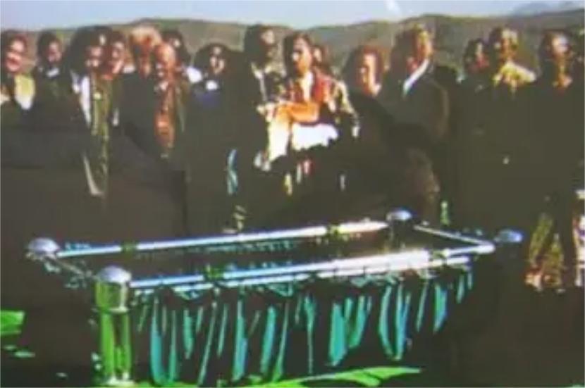 南非少女巴特曼照片,南非萨拉巴特曼标本