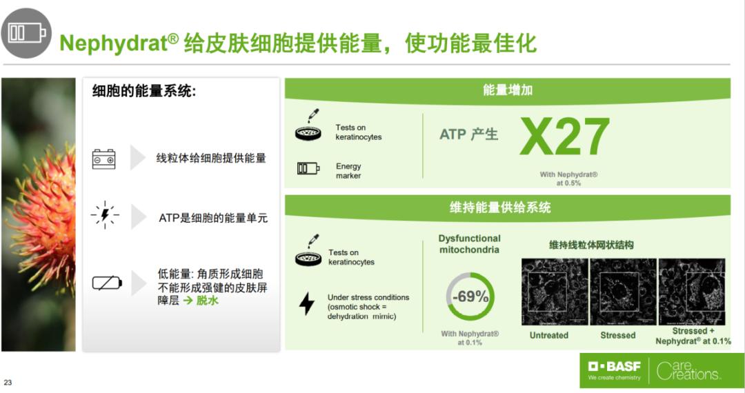 最贵的一瓶护肤品,很昂贵的护肤品