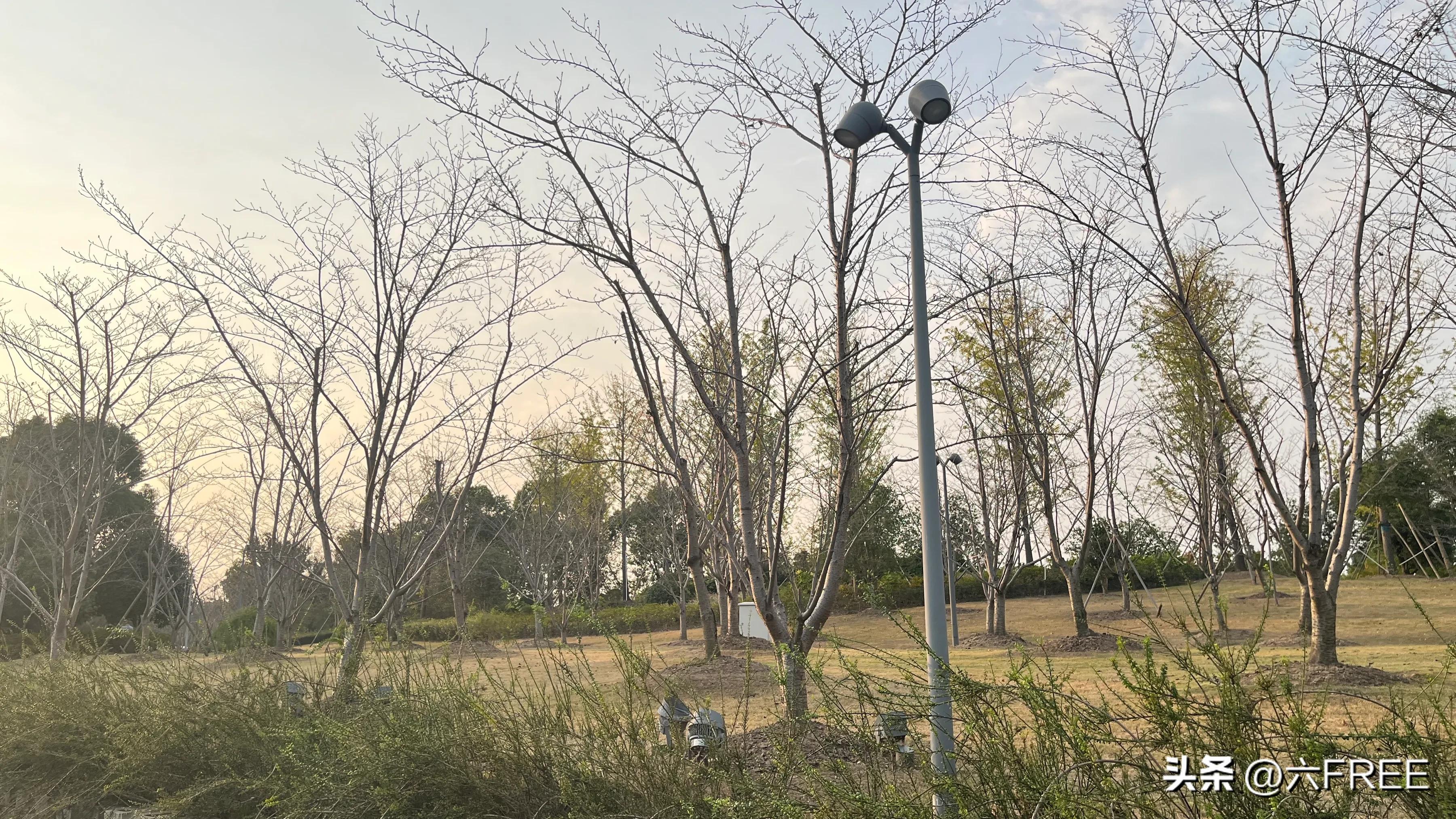 上海之鱼好玩不,上海之鱼公园游玩攻略