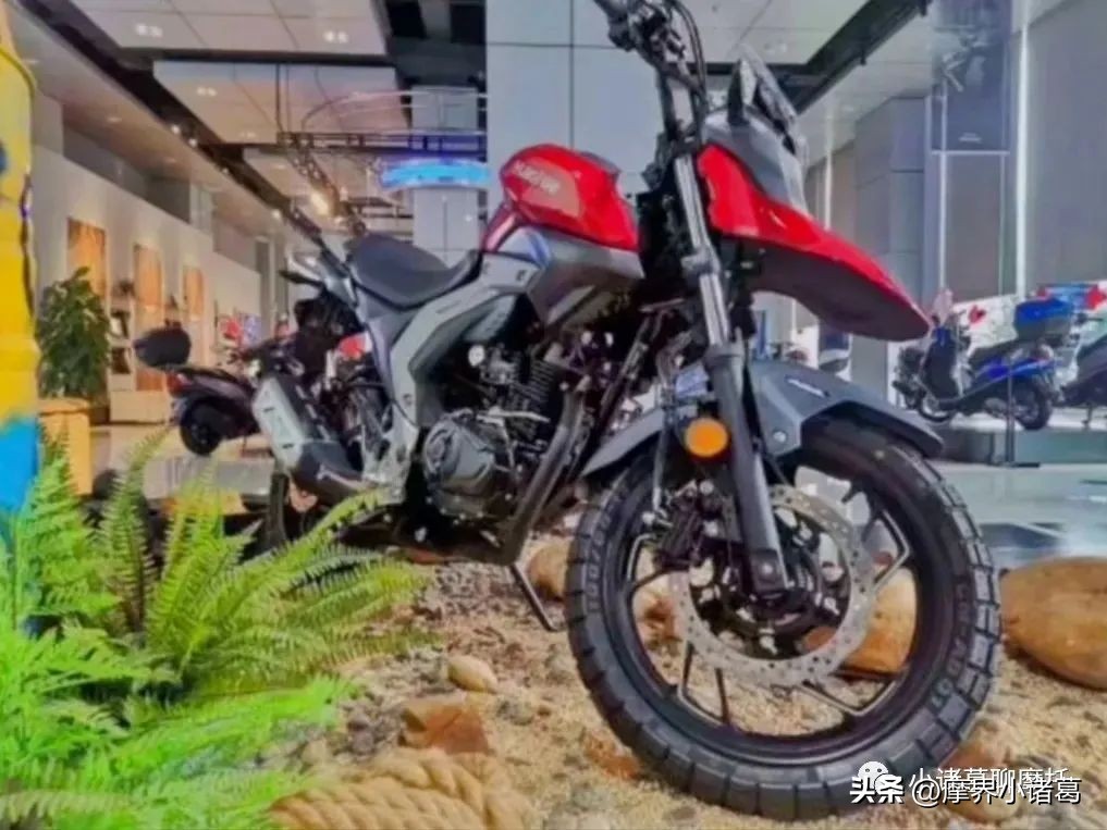 豪爵dl150与gzs150怎么选,豪爵dl150实车照片