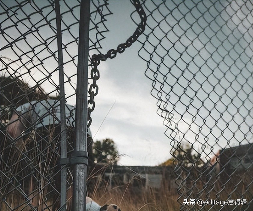 论文中文翻译英文平台,免费下载论文外文翻译网站