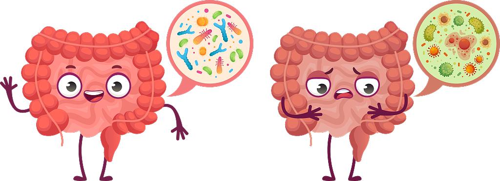 每周一个核桃能长寿吗,核桃长寿果的功效