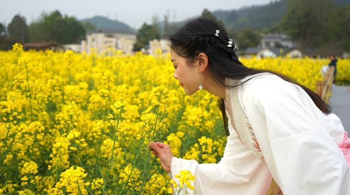 距离成都川西竹海最近的民宿,成都周边山水古村民宿推荐
