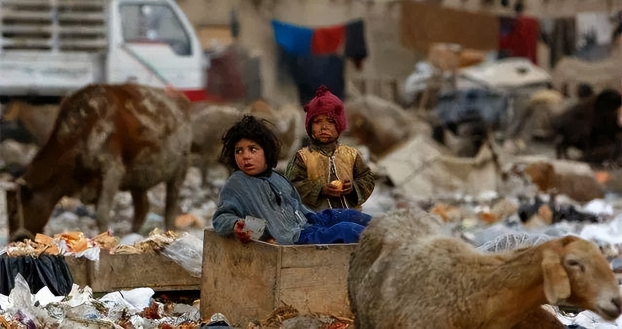 这个国家被称为“丧尸国度”?连狗都在吸毒,美军撤走后一片狼藉