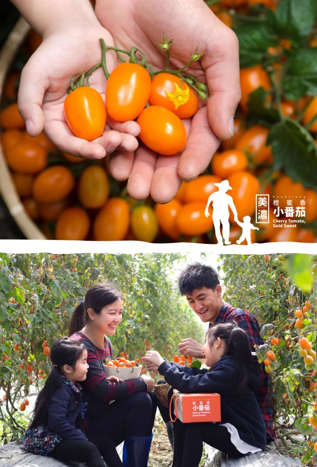 区域品牌农产品包装设计,农产品包装设计创意点