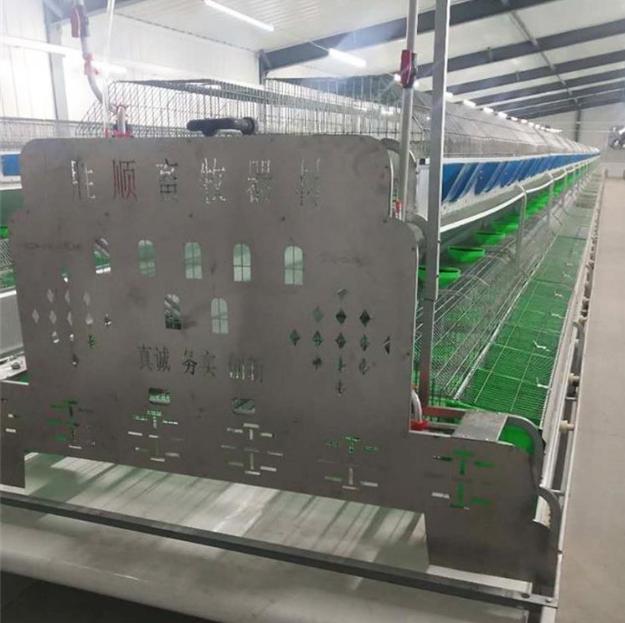 兔场清粪带的设计方案,兔场自动清粪设备什么价格