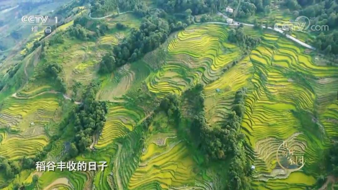 中国的世界文化遗产震撼视频,中国世界文化遗产你打卡过几个