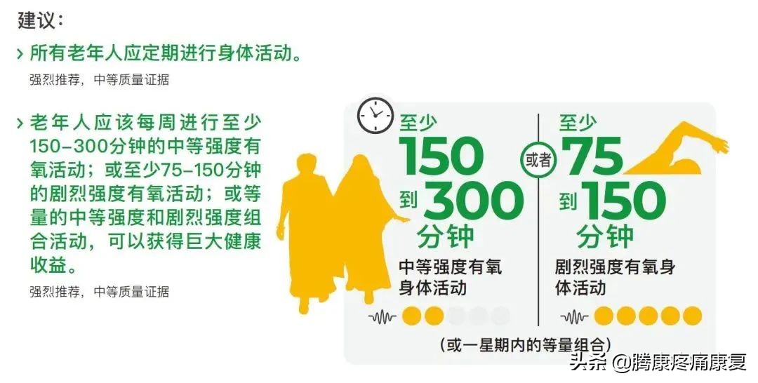 最新运动指南实锤,高效又轻松的运动指南