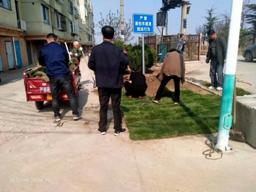 新时代文明实践学雷锋志愿活动,新时代文明实践主题志愿活动