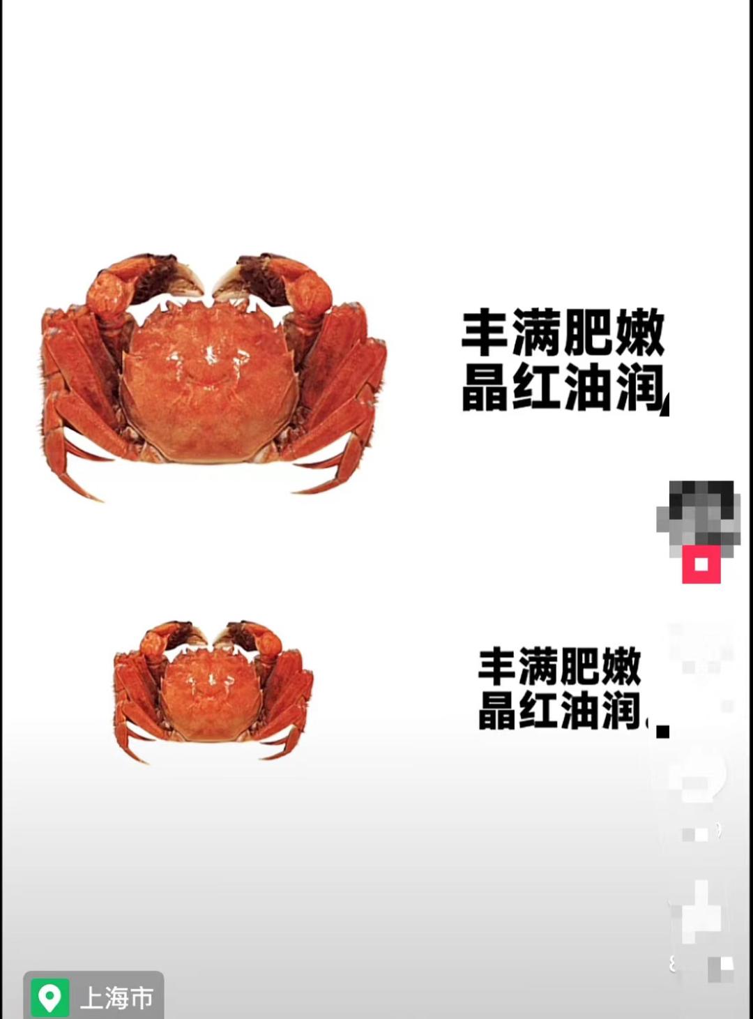 大闸蟹直播卖货第一名阳澄湖蟹王,大闸蟹直播卖货99元50只