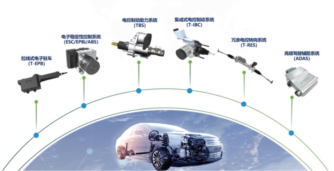 我与武清共赴春天