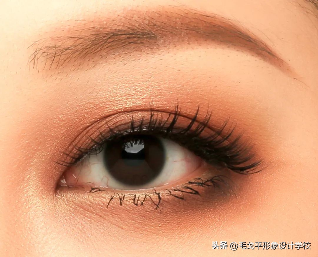 新手化妆必备化妆品化妆刷,新手化妆刷用法介绍8支