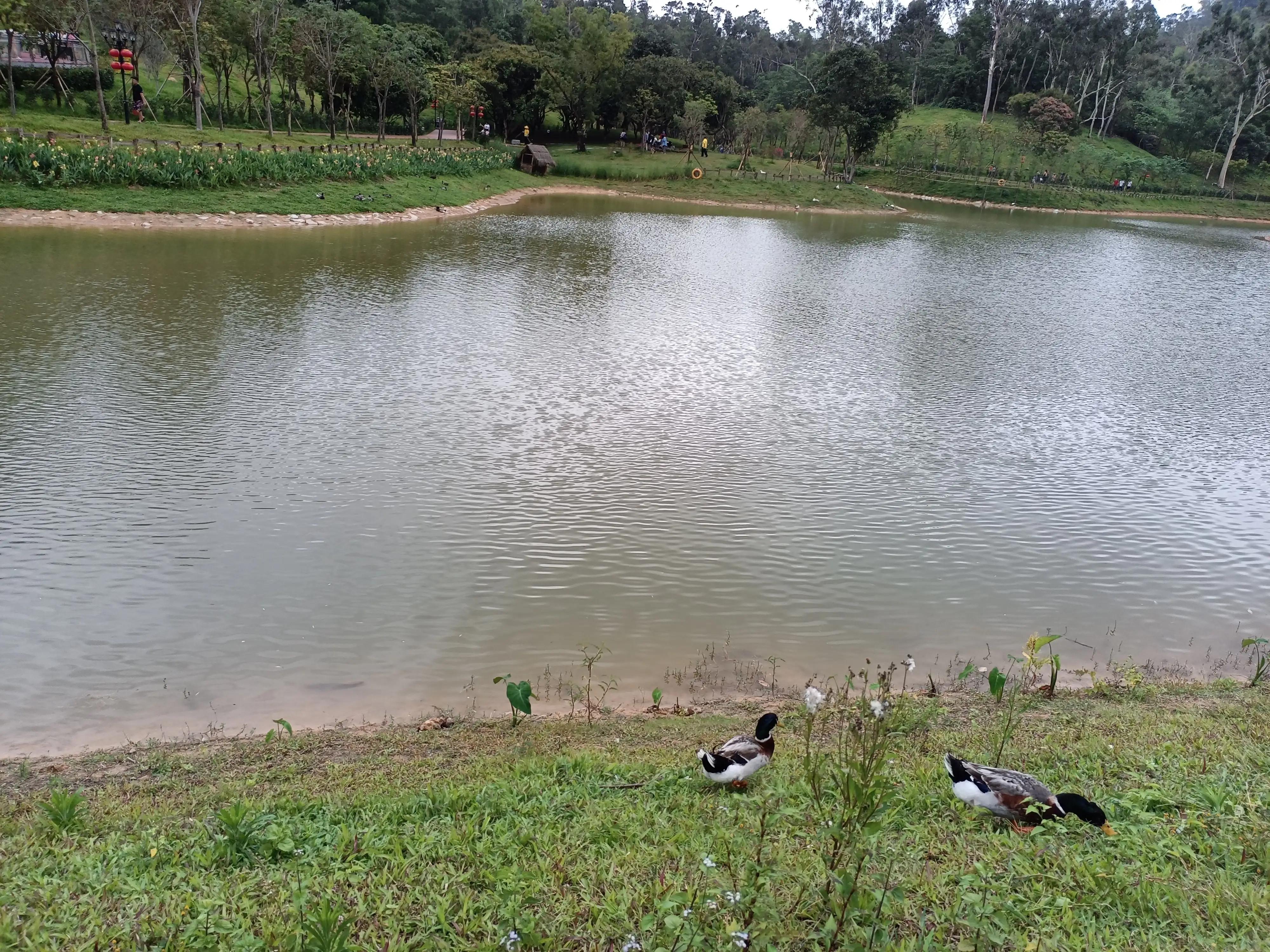 白云湖公园一日游推荐,香山公园附近一日游
