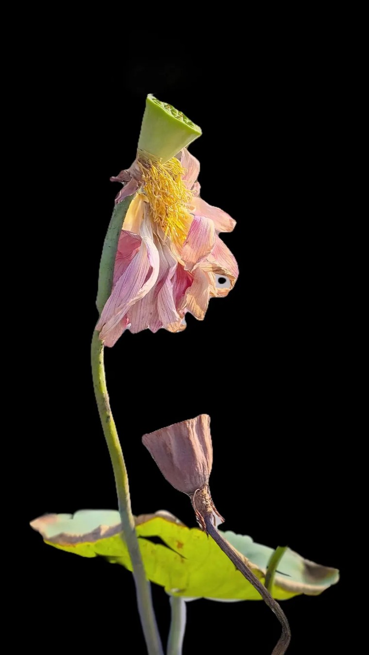 教你一招拍大片,拍摄60个技巧