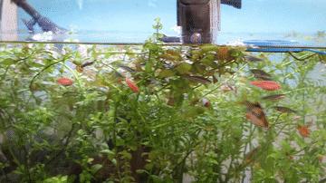 sjcamc300拍照效果,sjcam运动相机c300真实体验