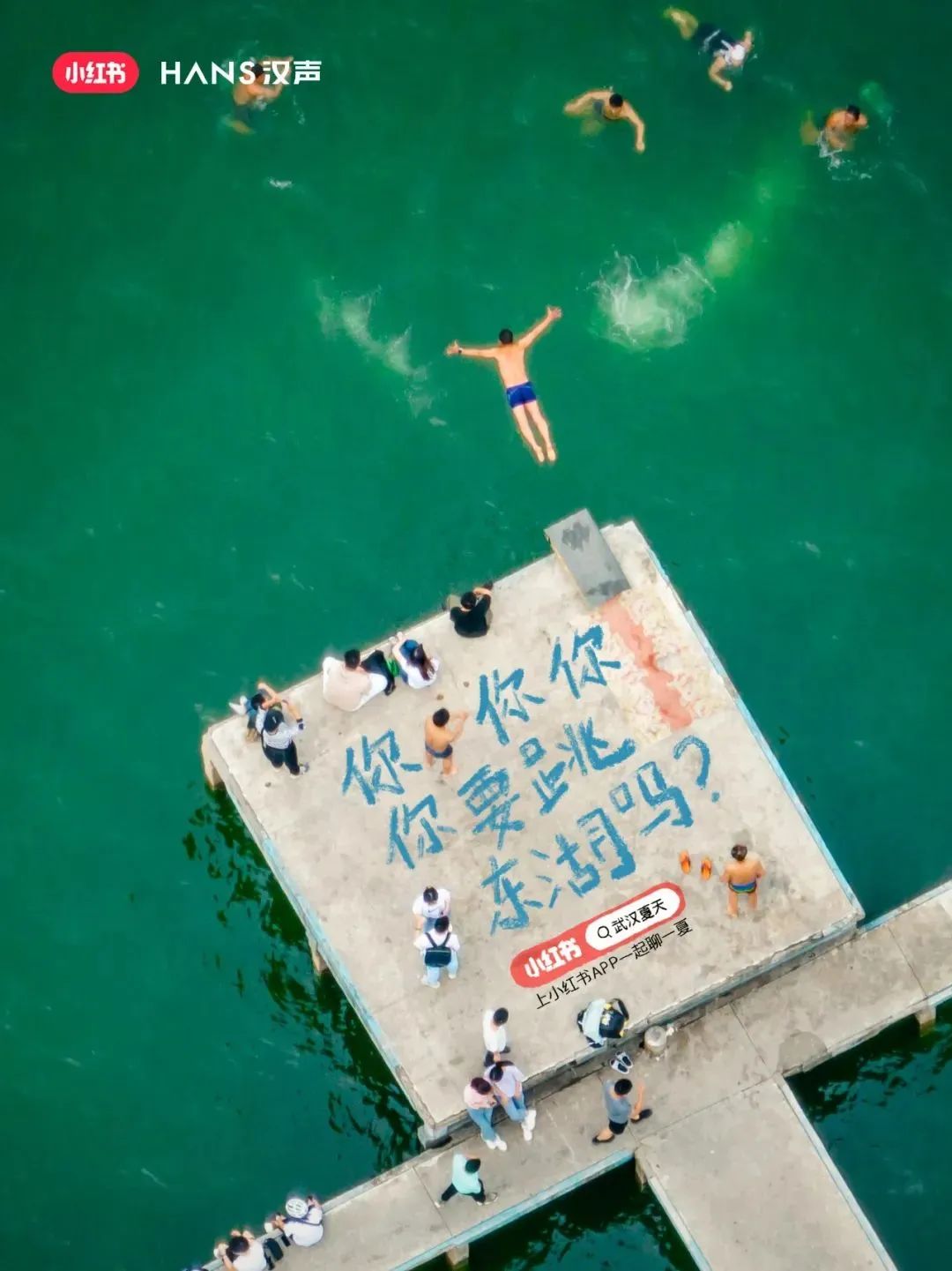 2023才过半，这15张海报已经高分上岸