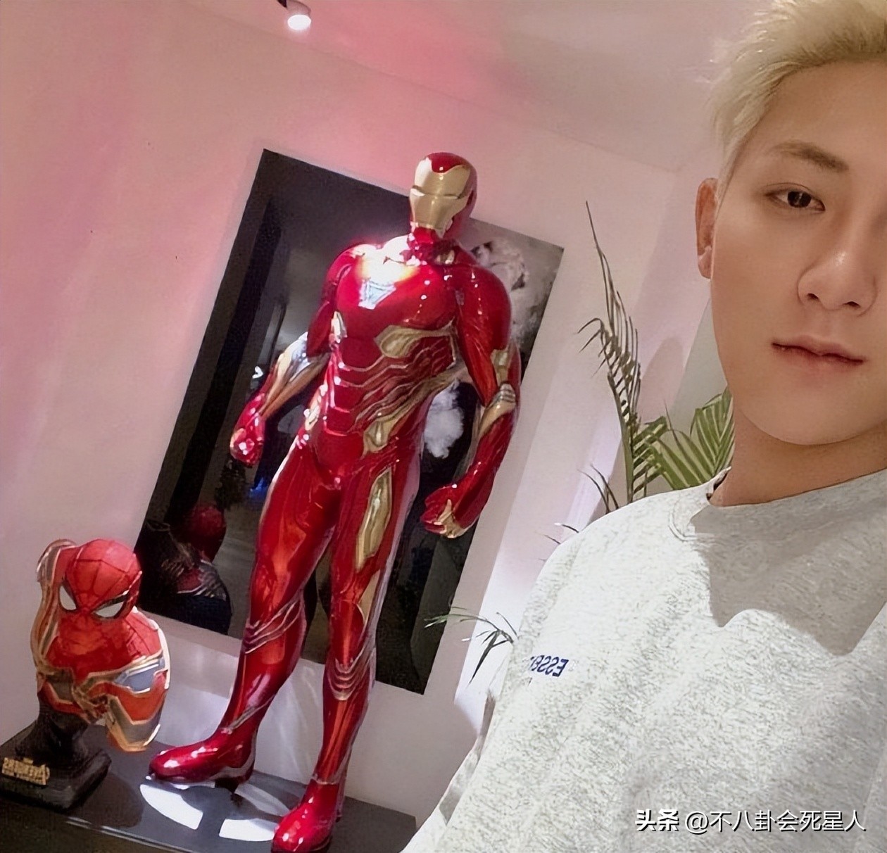 向太直播谈张柏芝,向太直播说张柏芝