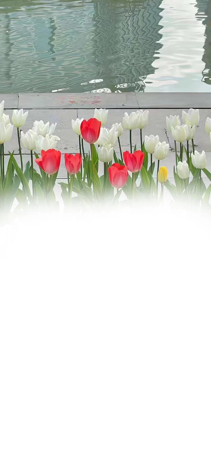 渐变聊天背景,渐变色聊天背景图教程