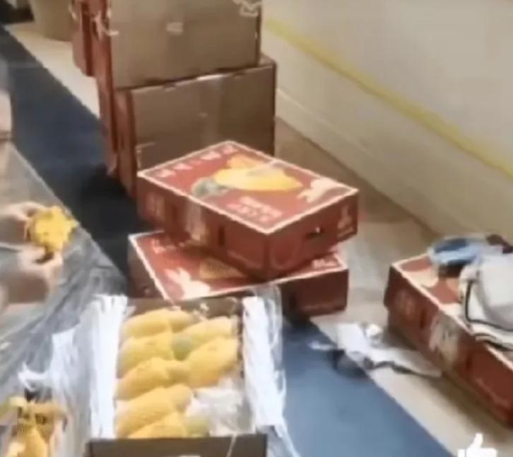 女子因为托运费太贵在机场吃芒果,女子三亚旅游带了8箱芒果过安检