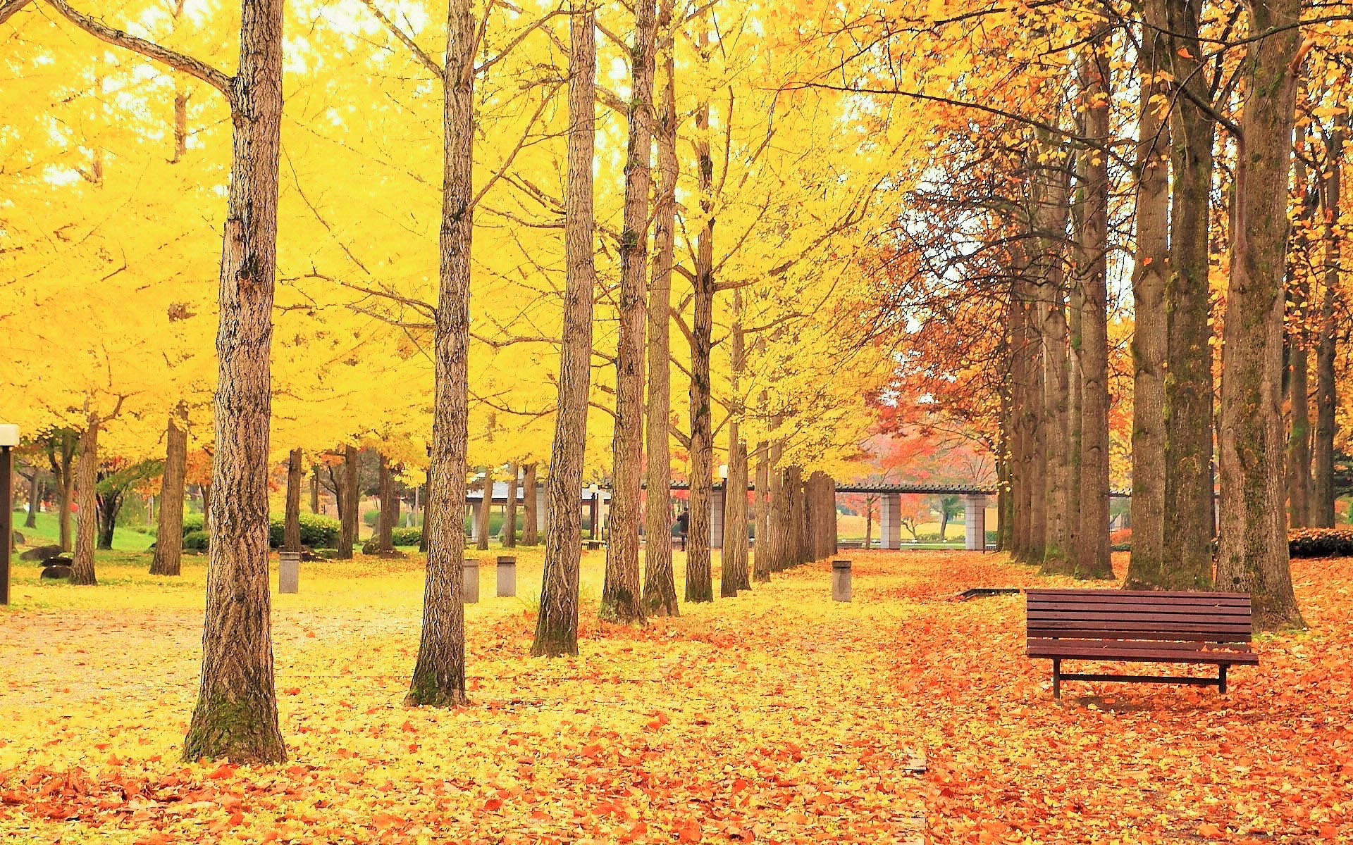 没有最佳教育方法只有言传身教,没有捷径怎么教育孩子