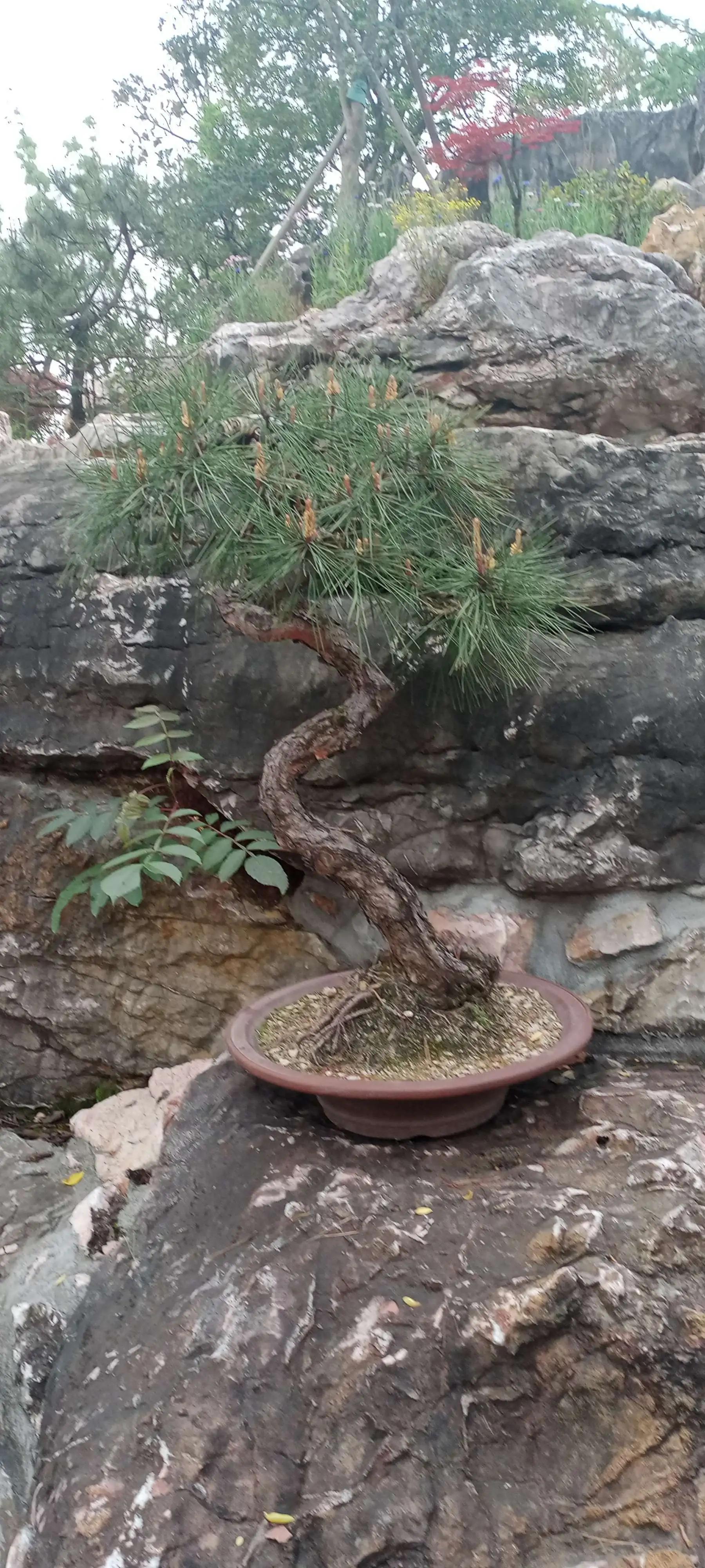 宜昌宜都当阳市组团江南六日游